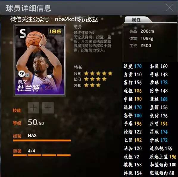 奇本场的亮