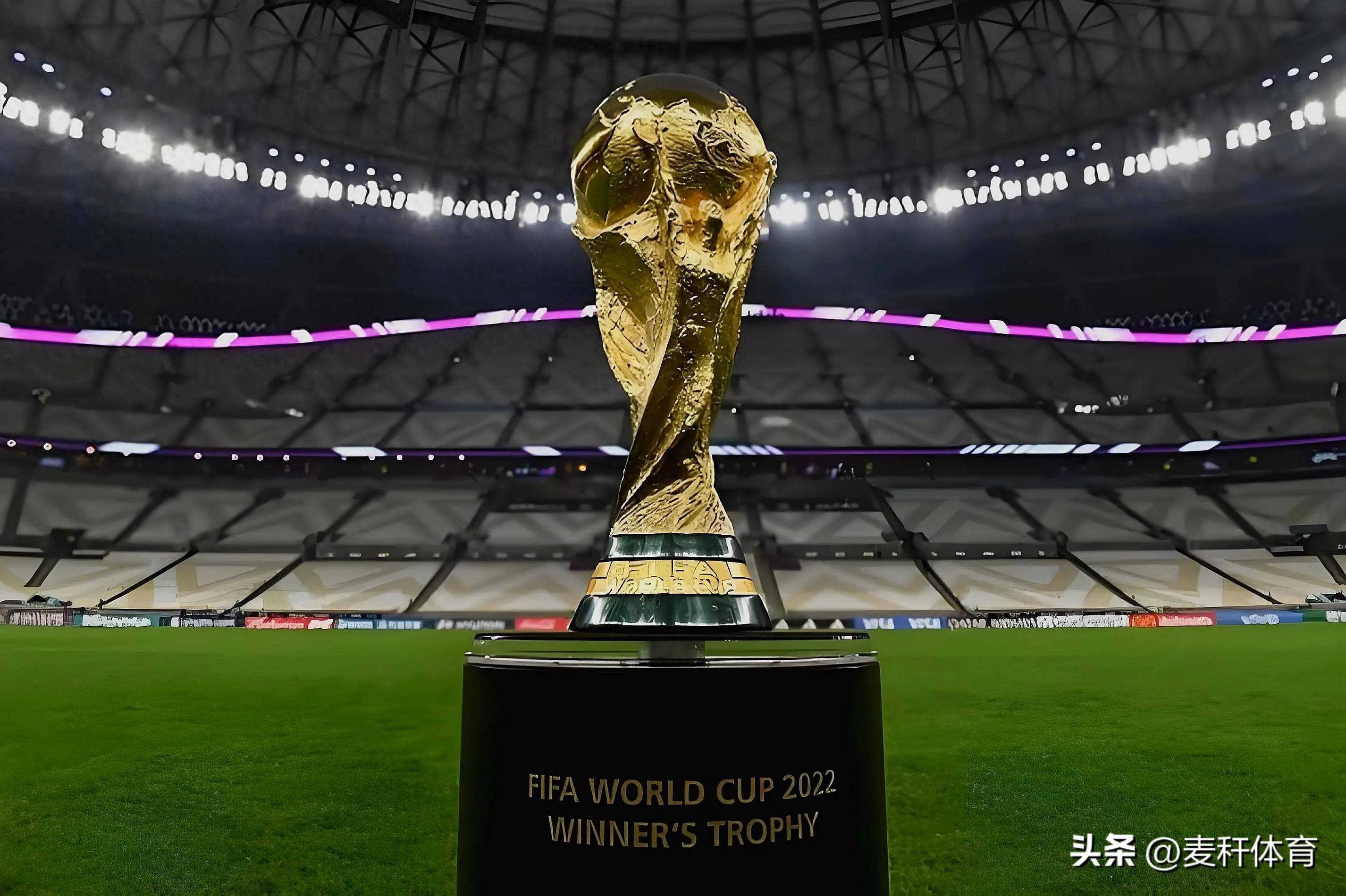 赛的深刻理 赛的深刻理